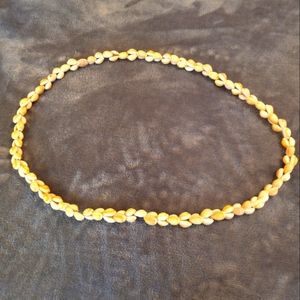 Vintage Cowrie 16" shell necklace